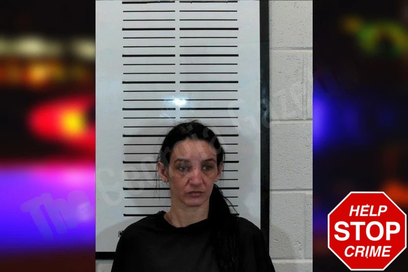 Amanda Rogers Mugshots