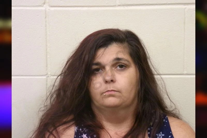 Amanda Towson mugshot