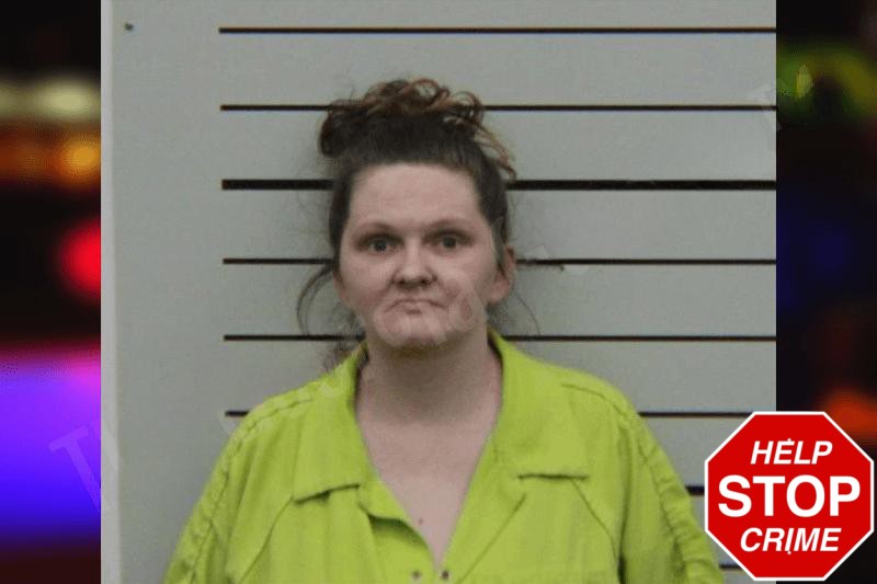 Amanda Webb Mugshots