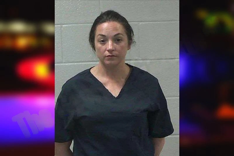 Amative Collins Mugshots