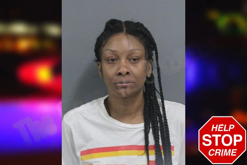 Amber Brewer Mugshots