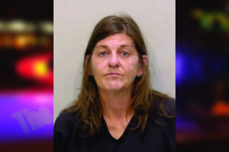 Amber Dunagan Mugshots