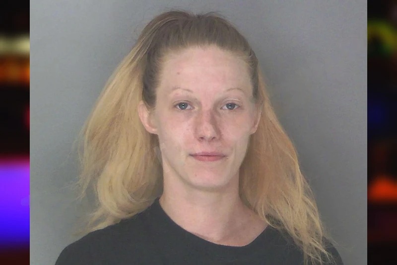 Amber Johnston Mugshots