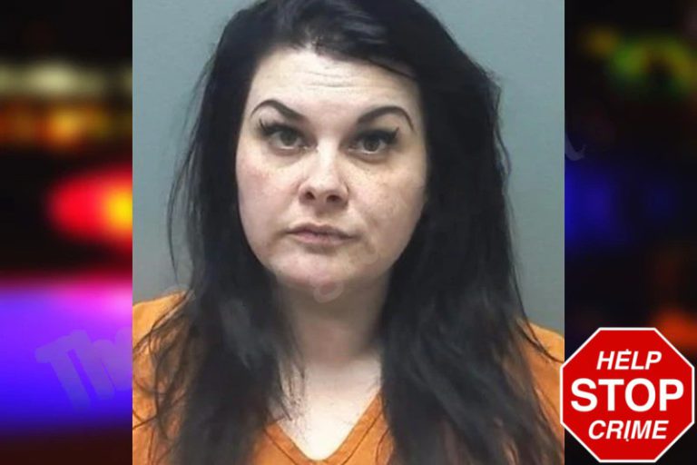 Amber Lindsay mugshot – Cherokee County , Georgia Amber Lindsay