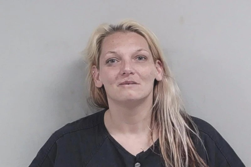 Amber Reese Mugshots
