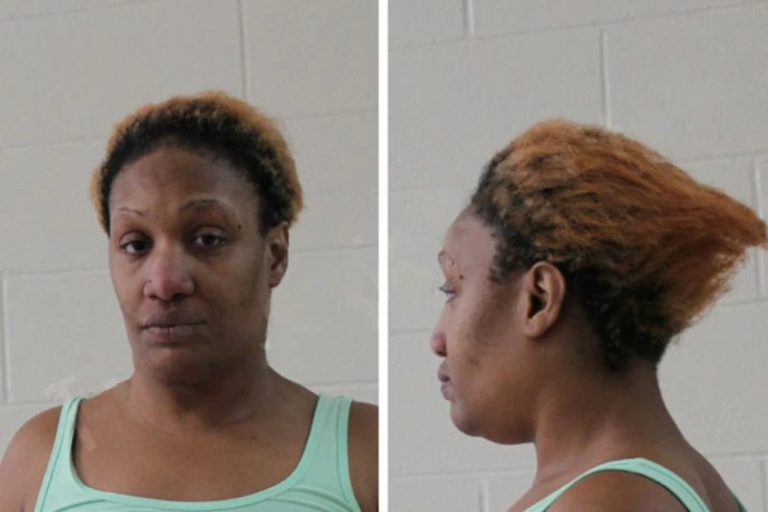 Amber Robinson mugshot – Houston County , Georgia Amber Robinson