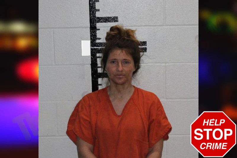 Amber Young mugshot – Murray County , Georgia Amber Young mugshot