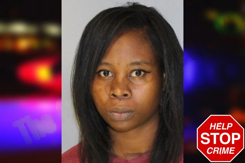 Ambree Mennifee Mugshots