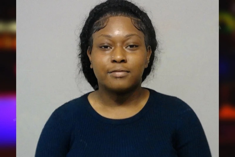 Ameria Davis Mugshots