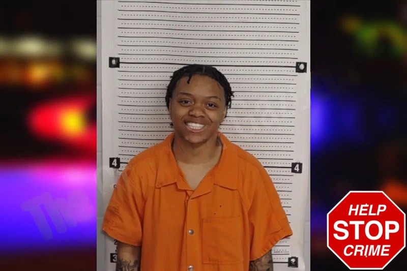 Amiyah Hepburn Mugshots