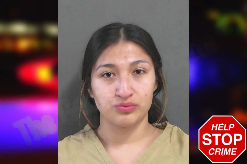 Amy Diaz-Rivera Mugshots