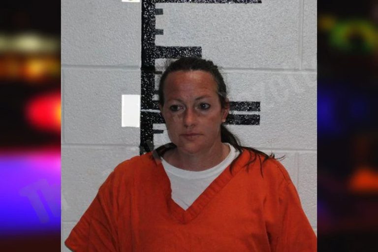 Amy Kilgore mugshot – Murray County , Georgia Amy Kilgore