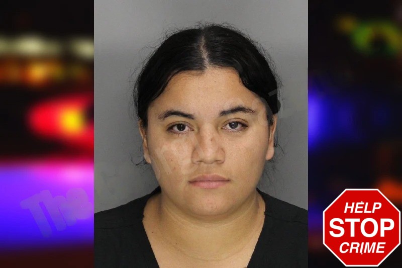 Ana Alvarez Mugshots