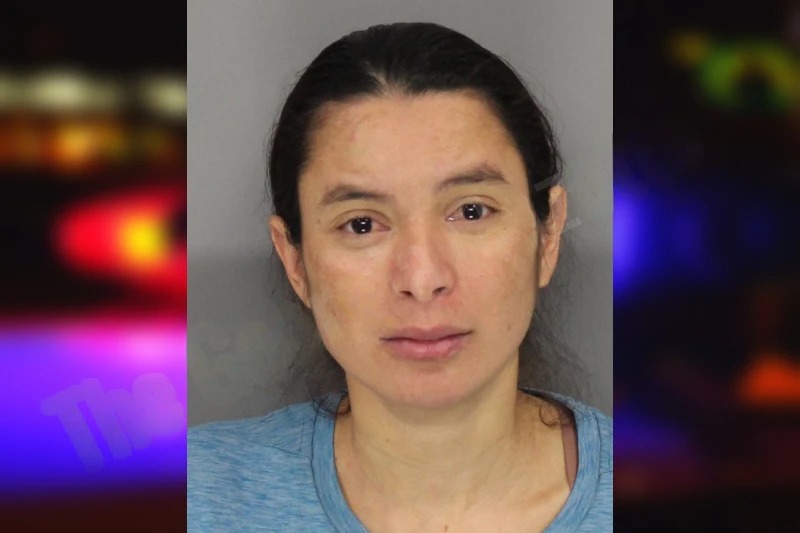 Ana Escorcia Mugshots