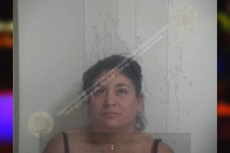 Ana Sanchez Cambron mugshot