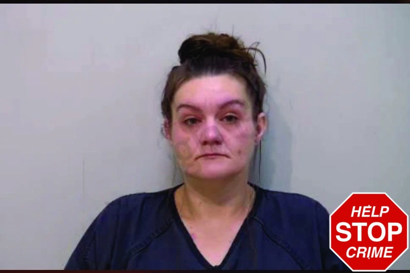 Andrea Fields Mugshots