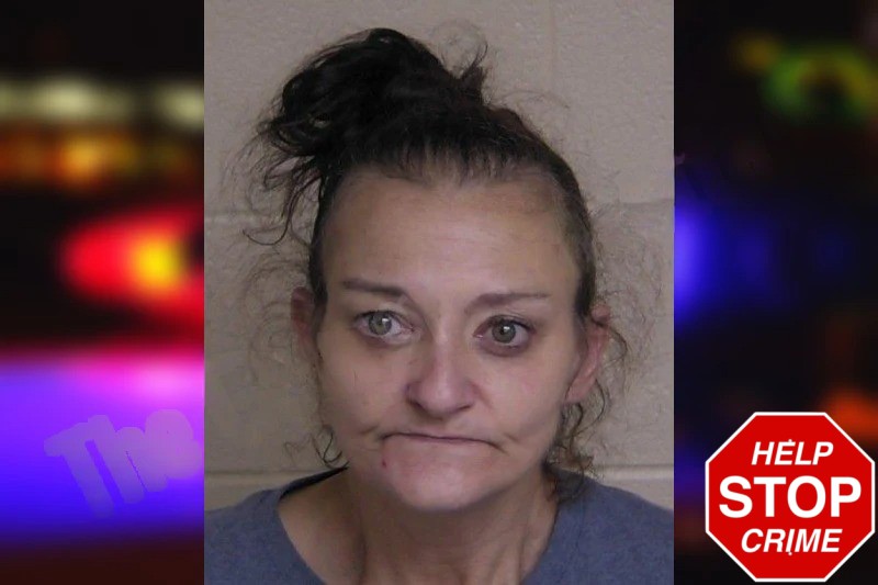 Andrea Hilliard Mugshots