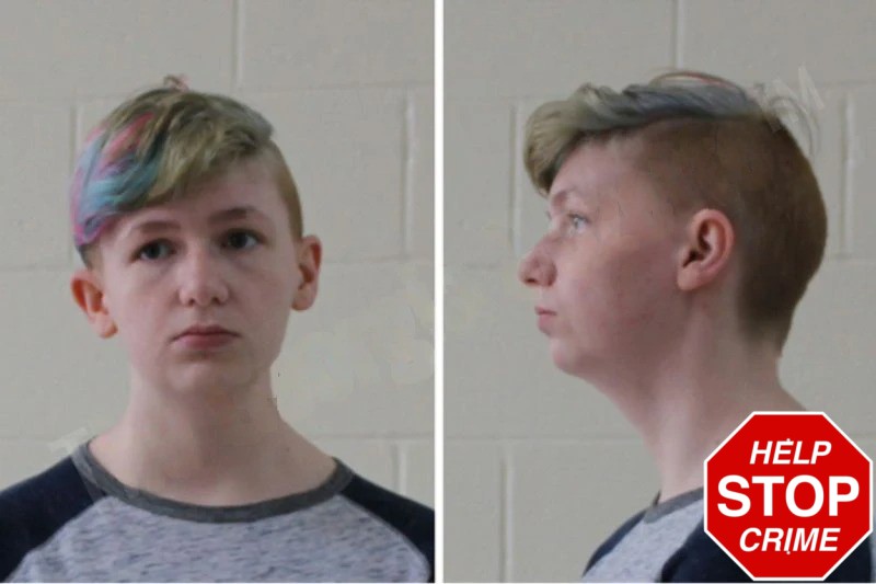 Angel Adams Mugshots