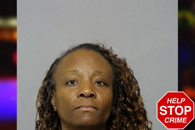 Angel Redding mugshot – Bibb County , Georgia Angel Redding
