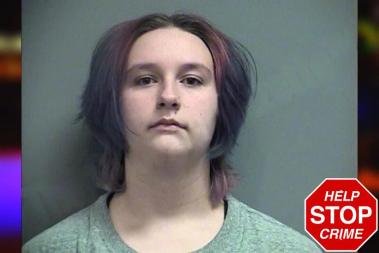 Angel Sanders mugshot – Effingham County , Georgia Angel Sanders