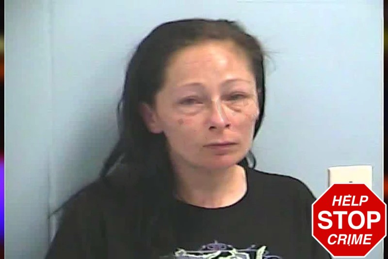 Angela Dillon Mugshots