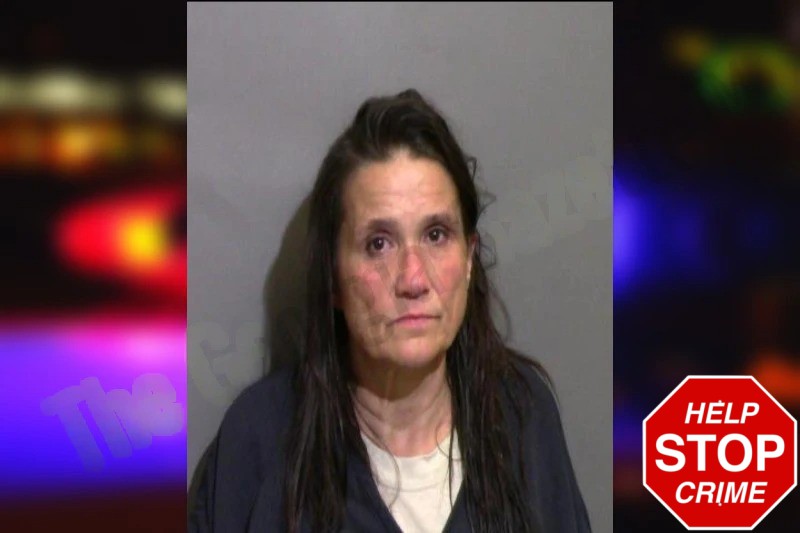 Angela Lanier Mugshots