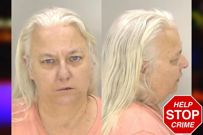 Angela McGee Mugshots