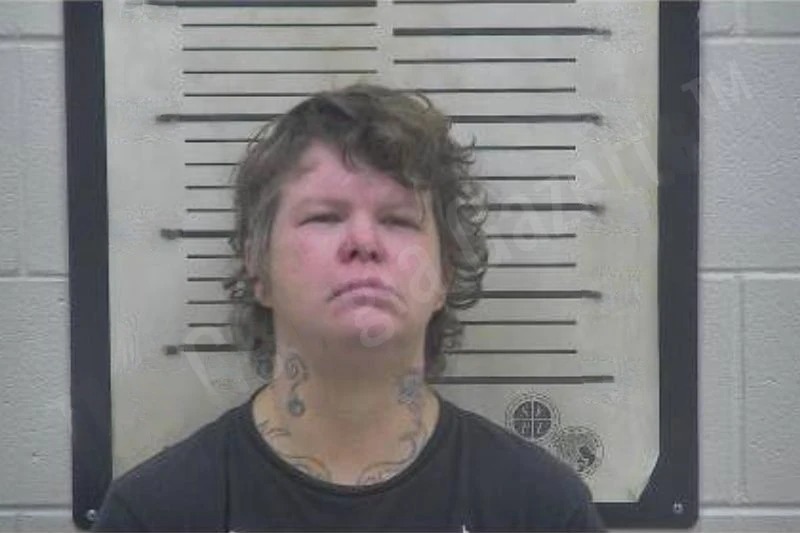 Angela Perry Mugshots