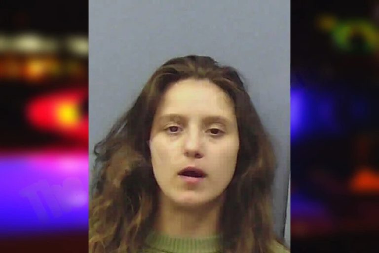 Angela Sanchez mugshot – Chattooga County , Georgia Angela Sanchez