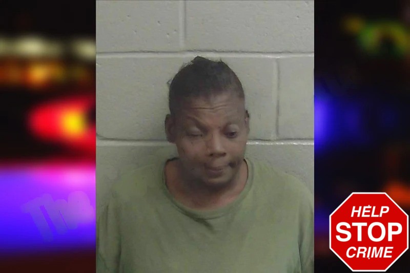 Angela Thomas mugshot – Wayne County , Georgia Angela Thomas mugshot