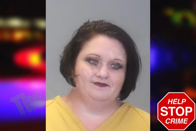 Angela Tice Mugshots