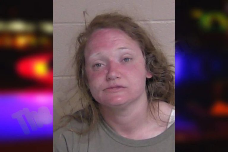 Angelia Robinson mugshot – Oconee County , Georgia Angelia Robinson