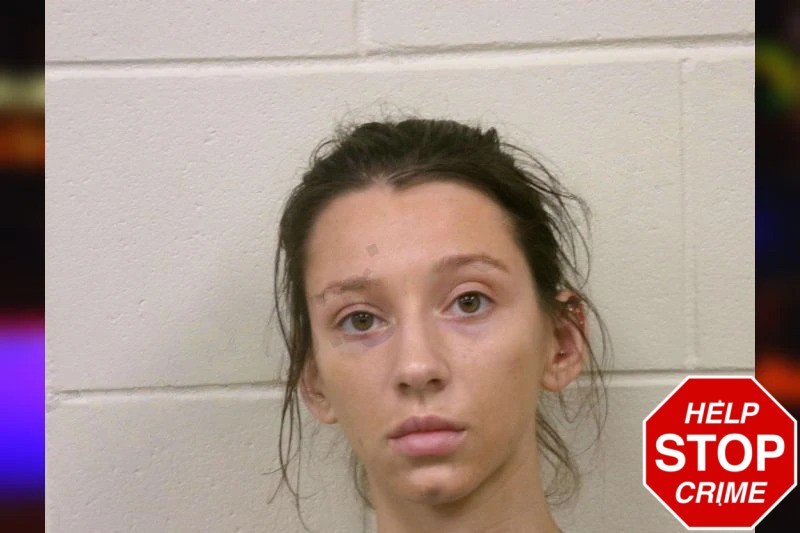 Angelina Levitt Mugshots