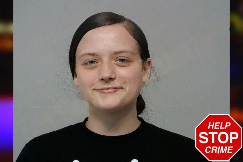 Angie Sheppard mugshot – Bibb County , Georgia Angie Sheppard mugshot
