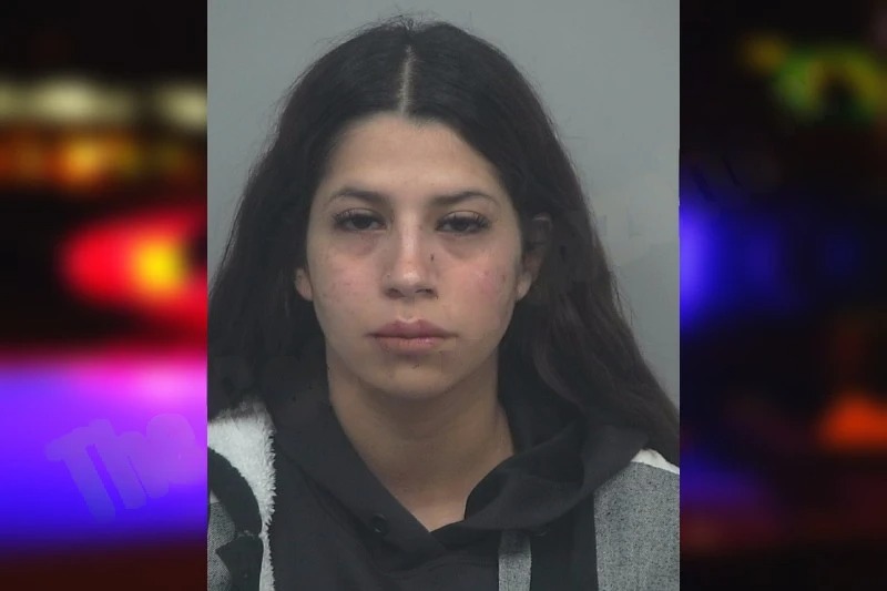 Angye Salinas-Diaz mugshot