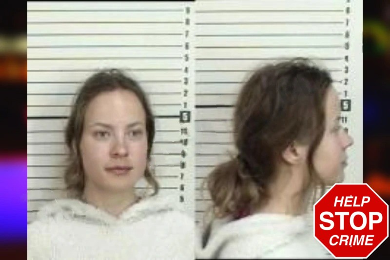 Anhelina Karnitskaya Mugshots