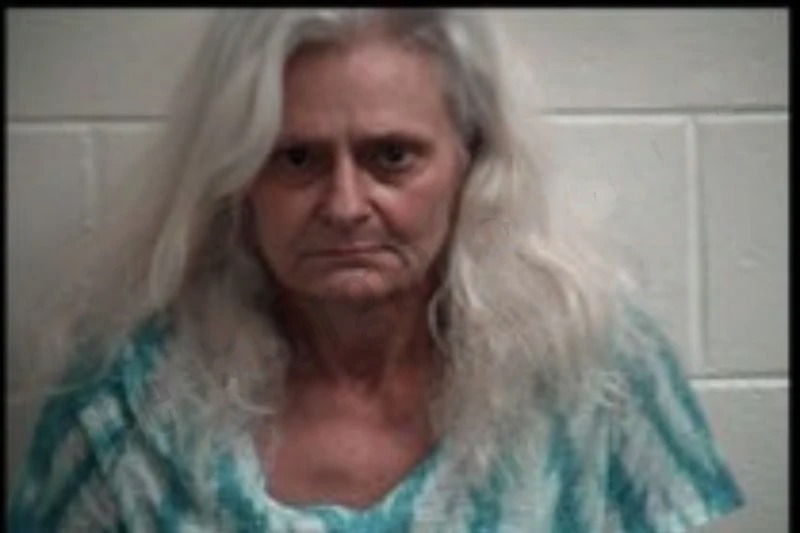Anita Gilley mugshot