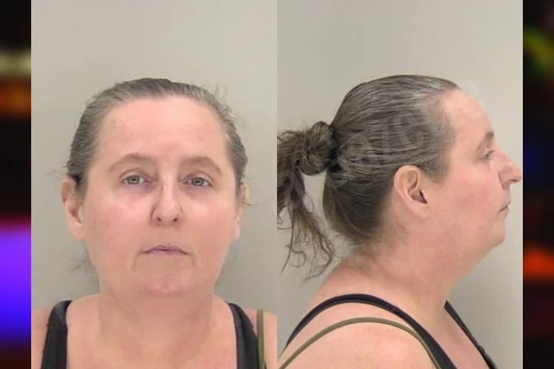 Ann Cook Mugshots