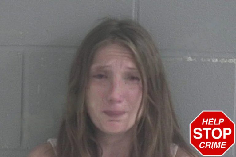 Ann Guest mugshot – Brantley County , Georgia Ann Guest