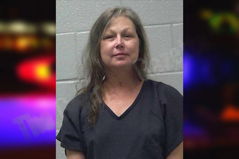 Ann Patterson Mugshots