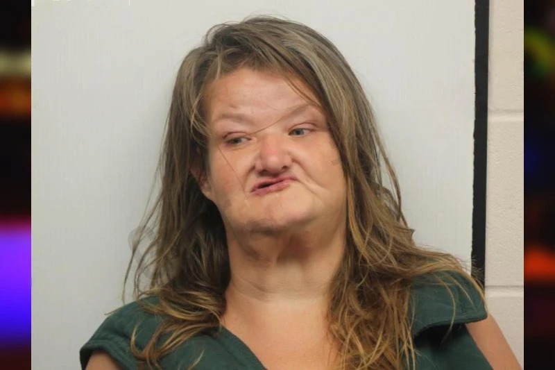 Anna Arnold Mugshots