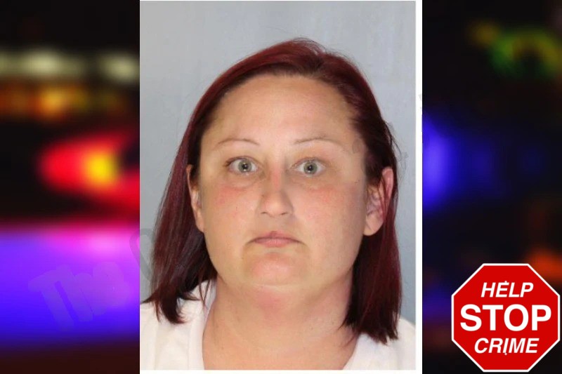 Anna Satterlee Mugshots