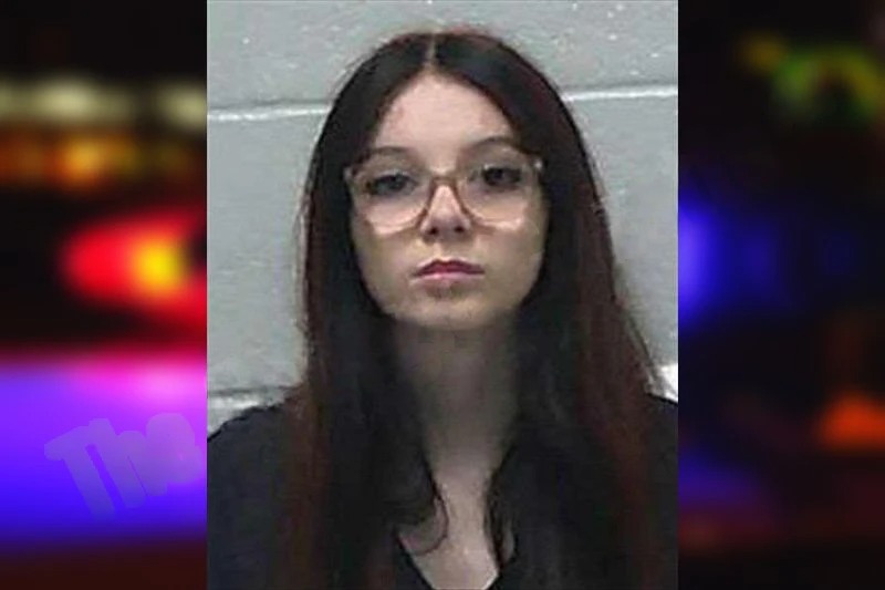 Annabelle Noland mugshot – Gilmer County , Georgia Annabelle Noland mugshot