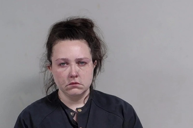 Anne McMichen Mugshots