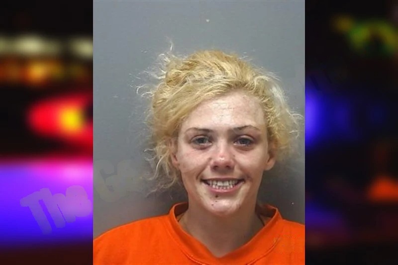 Ansley Boone Mugshots