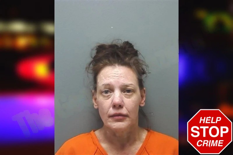 Ansley Fort Mugshots