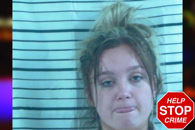 Ansley Smith Mugshots