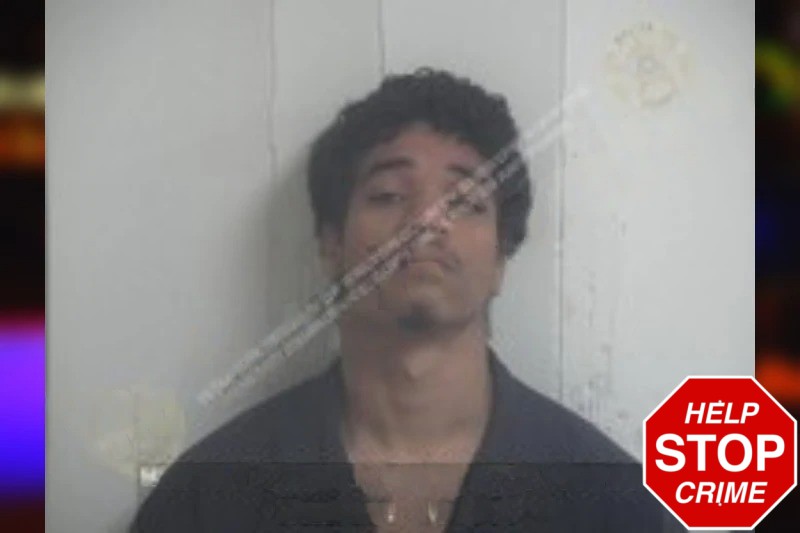 Anthony Wiedenmann Mugshots