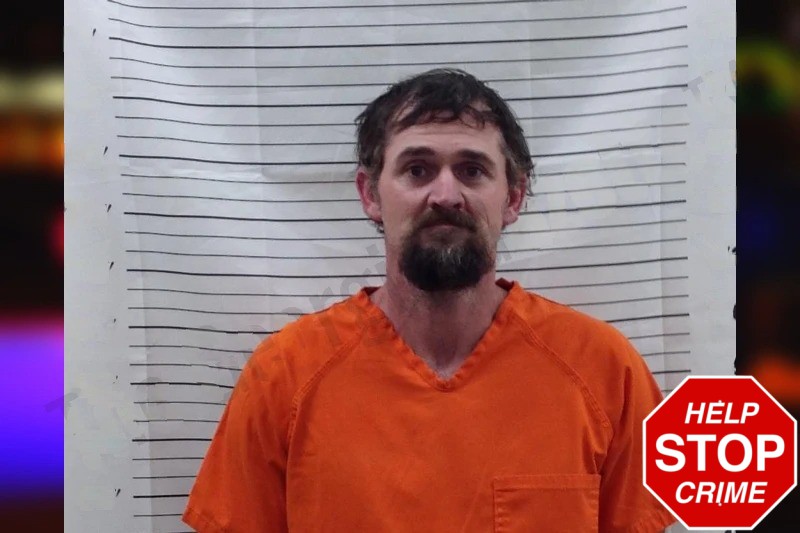 Anthony Wilson Mugshots