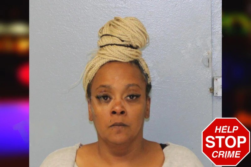 April Armstrong mugshot – Mcintosh County , Georgia April Armstrong mugshot